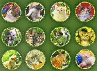 Календарь 2008 (на скрепке) Забавные котята артикул 7794a.