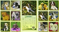Календарь 2008 (на скрепке) Забавные щенки артикул 7795a.