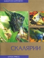 Скалярии артикул 7871a.